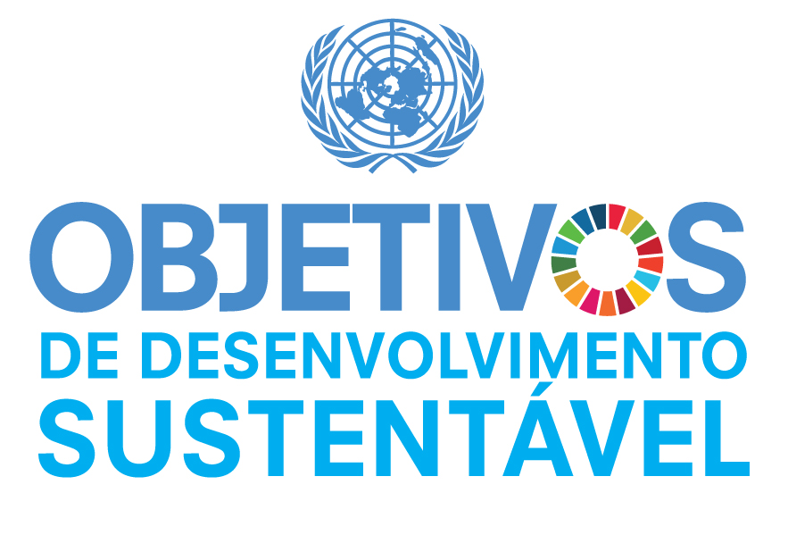Portuguese SDG Icons 11
