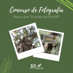 FEA-RP lança o edital do concurso de fotografias para o site "Árvores da FEA-RP"