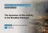 Dinâmica de incêndios no Pantanal é tema de seminário acadêmico