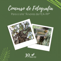 FEA-RP lança o edital do concurso de fotografias para o site "Árvores da FEA-RP"