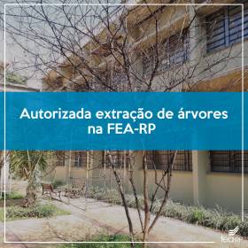Autorizada extração de árvores na FEA-RP