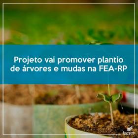 Começou nesta semana o plantio de árvores