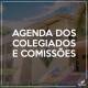 Agenda de Reuniões das Comissões e Colegiados